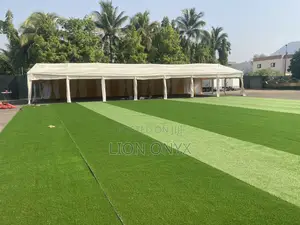 30x70ft Zappycanopy