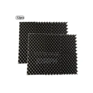 12pcs Acoustic Foam 12inch SQD