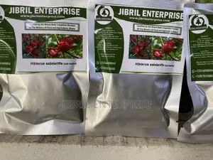 Red Roselle(Hibiscus Sabdariffa)”Sobolo”