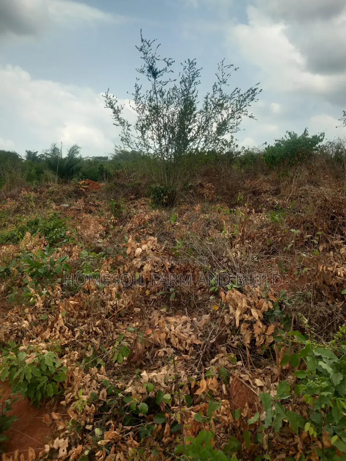 2.0 Acres of Land for Sale