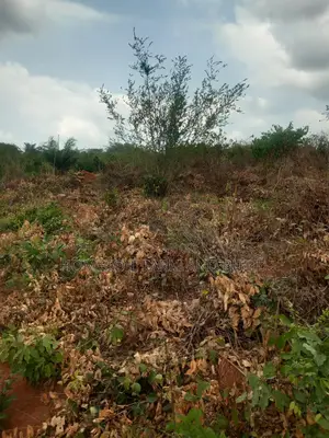 2.0 Acres of Land for Sale