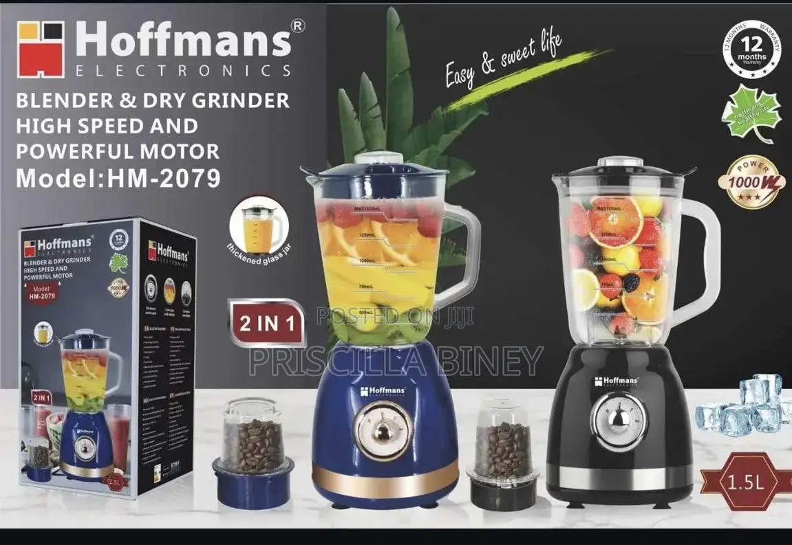 Hoffman 2 in 1 Glass Blender