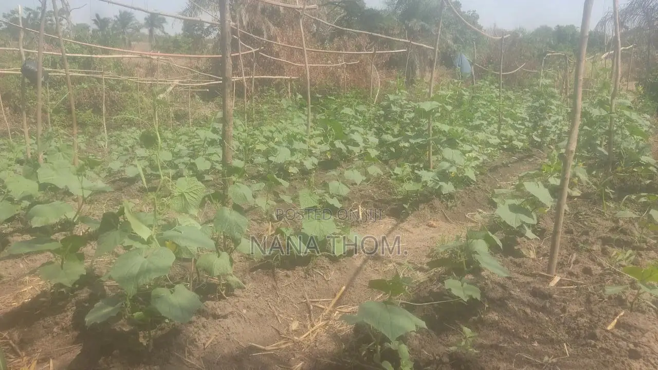 Farm Manager