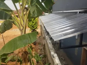 Sunshade Canopy for Homes and Offices