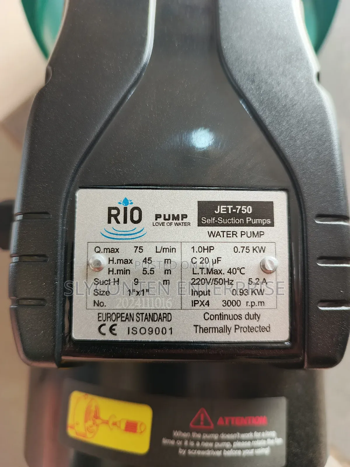 Rio 1hp Surface Mounted Water Pump