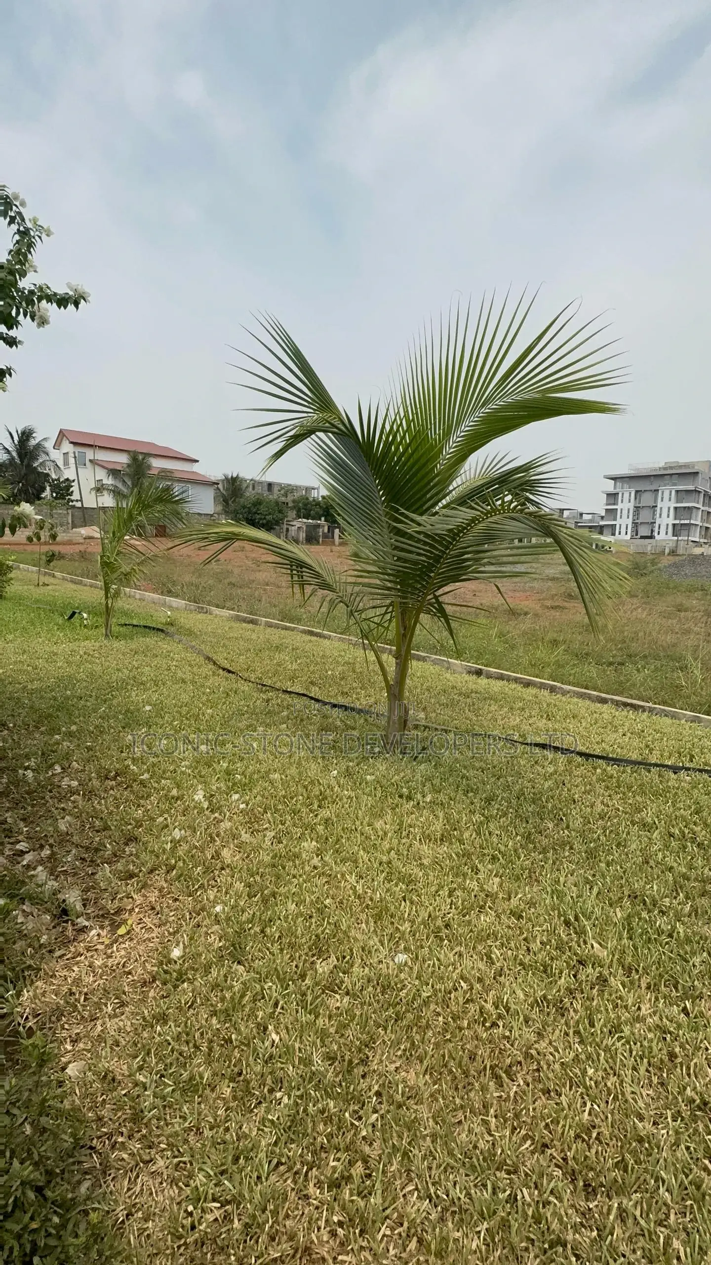 3 Acres of Land at Tse Addo for Sale