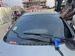 All Car, Windows, Doors TINTED