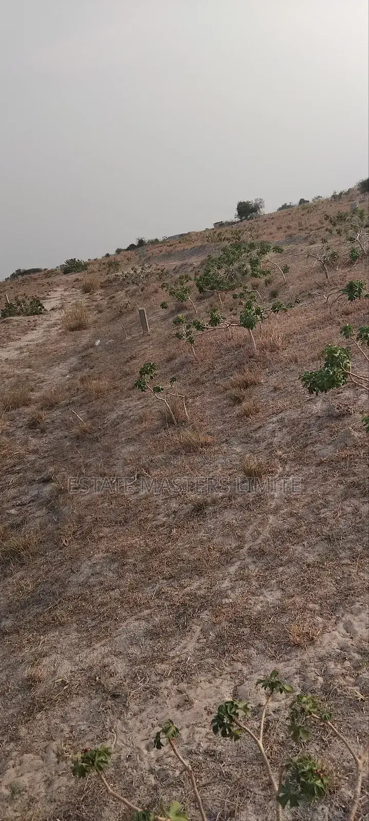 Build With Comfort and Style Buy a Land at Tsopoli