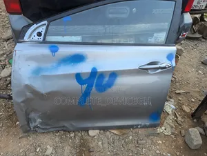 Hyundai Elantra Driver Side Door