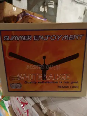 Summer Enjoyment Vemac Ceiling Fan Long Blade
