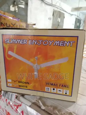 Best Vemac Ceiling Fan Long Blade