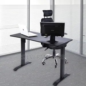 Electric Height Adjustable Gaming /Office Desk