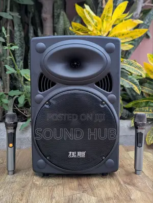 Professional Trolley Speaker With Two Microphones