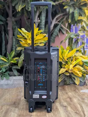 Professional Trolley Speaker With Two Microphones