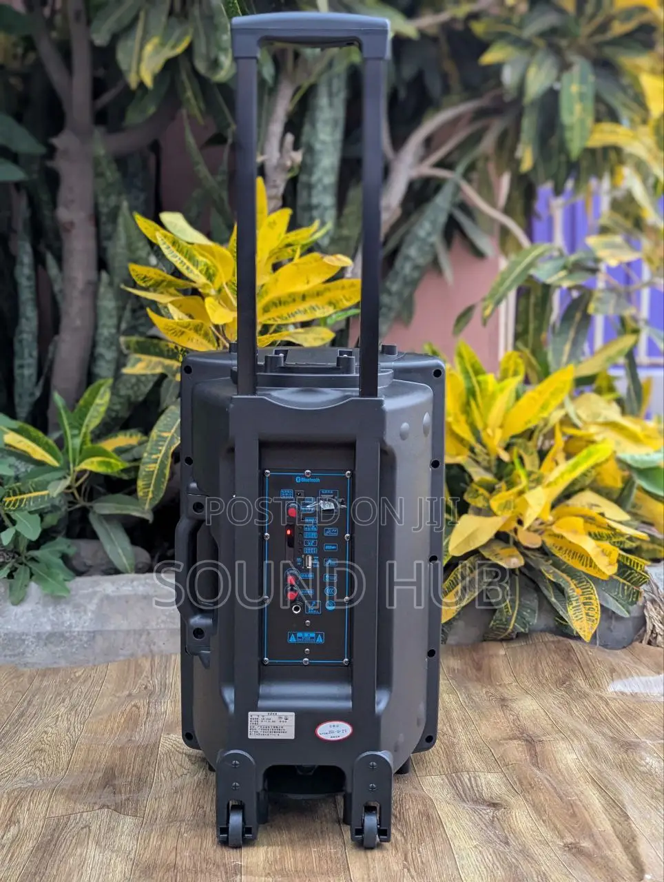 Professional Trolley Speaker With Two Microphones