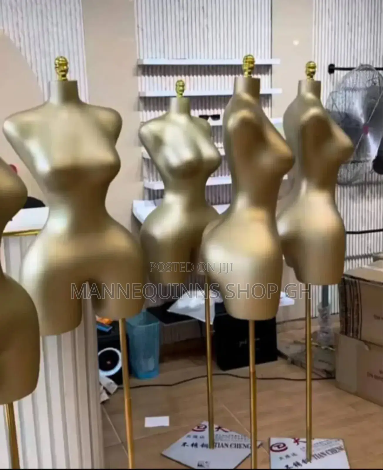 Dress Form Mannequin
