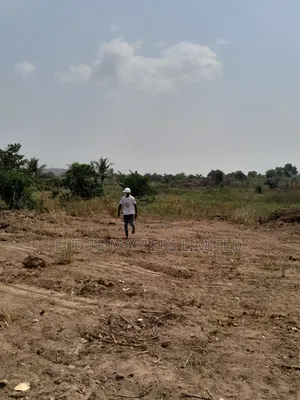 Best and Lucky Estate Lands Arranged for You. Call Now!