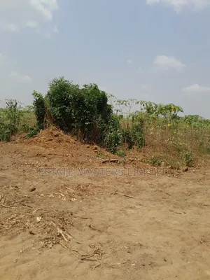 Best and Lucky Estate Lands Arranged for You. Call Now!
