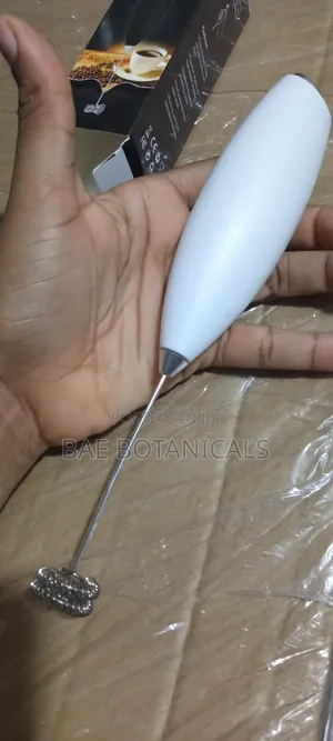 Electric Milk Frother