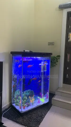 Aquaman Aquarium With Fishes