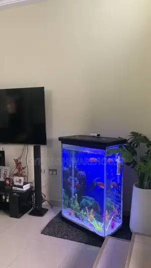 Aquaman Aquarium With Fishes