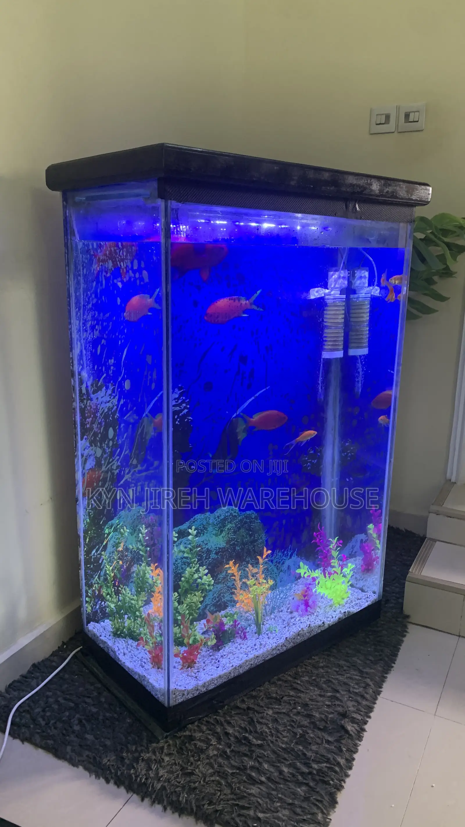 Aquaman Aquarium With Fishes