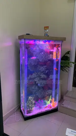 Bronya Aquarium With Fishes