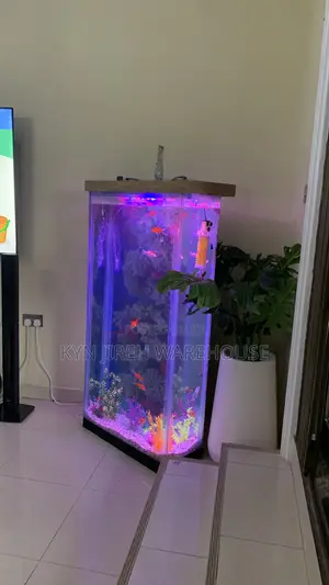 Bronya Aquarium With Fishes