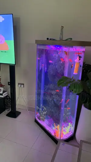 Bronya Aquarium With Fishes