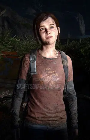 The Last of Us Video Game for Ps4 and Ps5 Installation