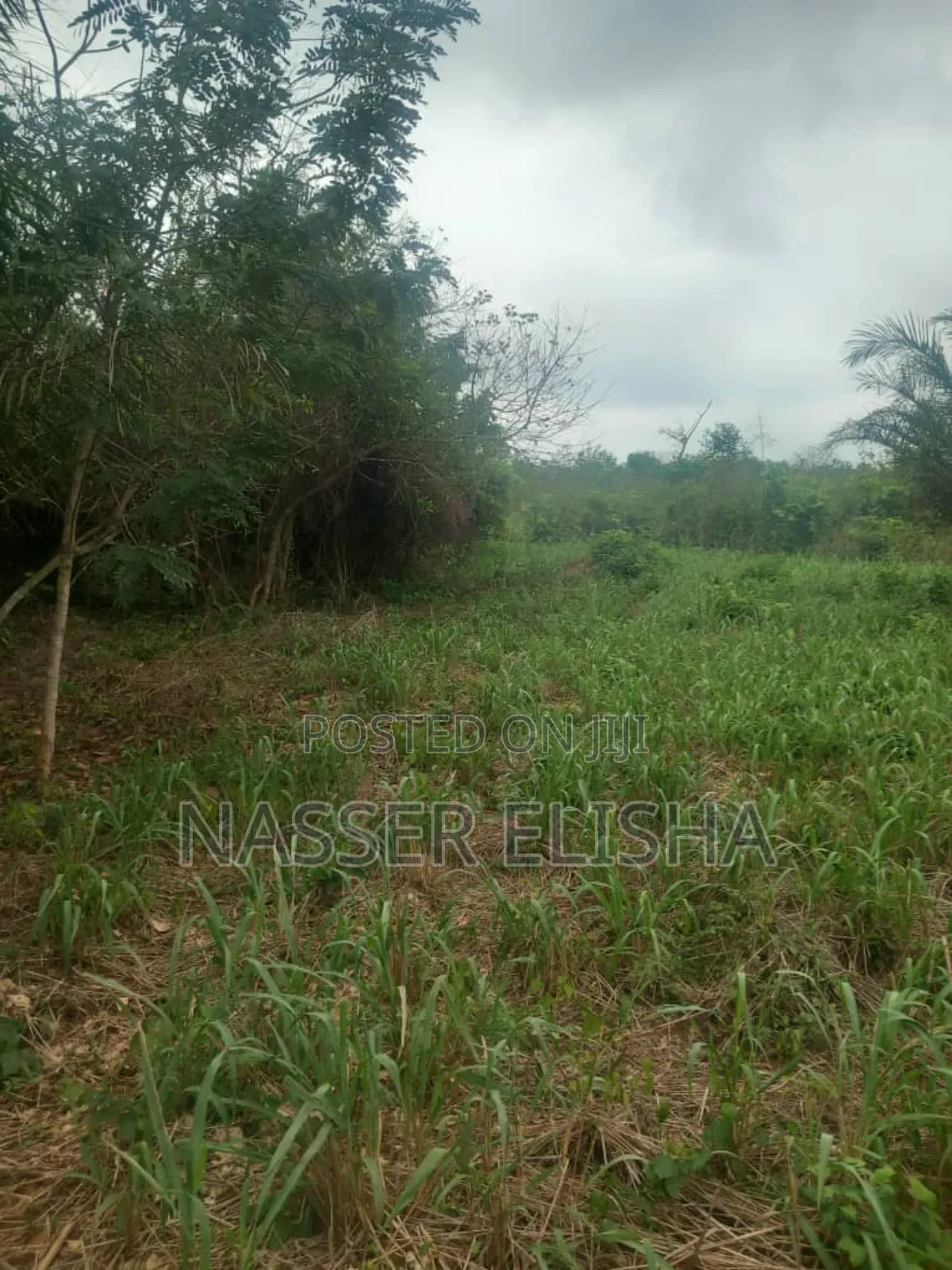 10 Plots for Sale by Mainroad
