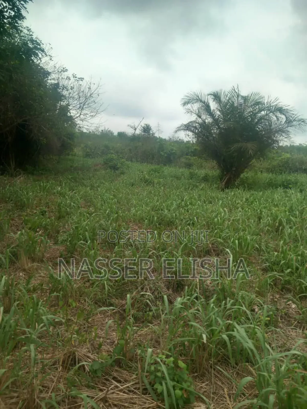 10 Plots for Sale by Mainroad