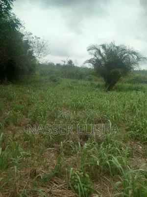 10 Plots for Sale by Mainroad