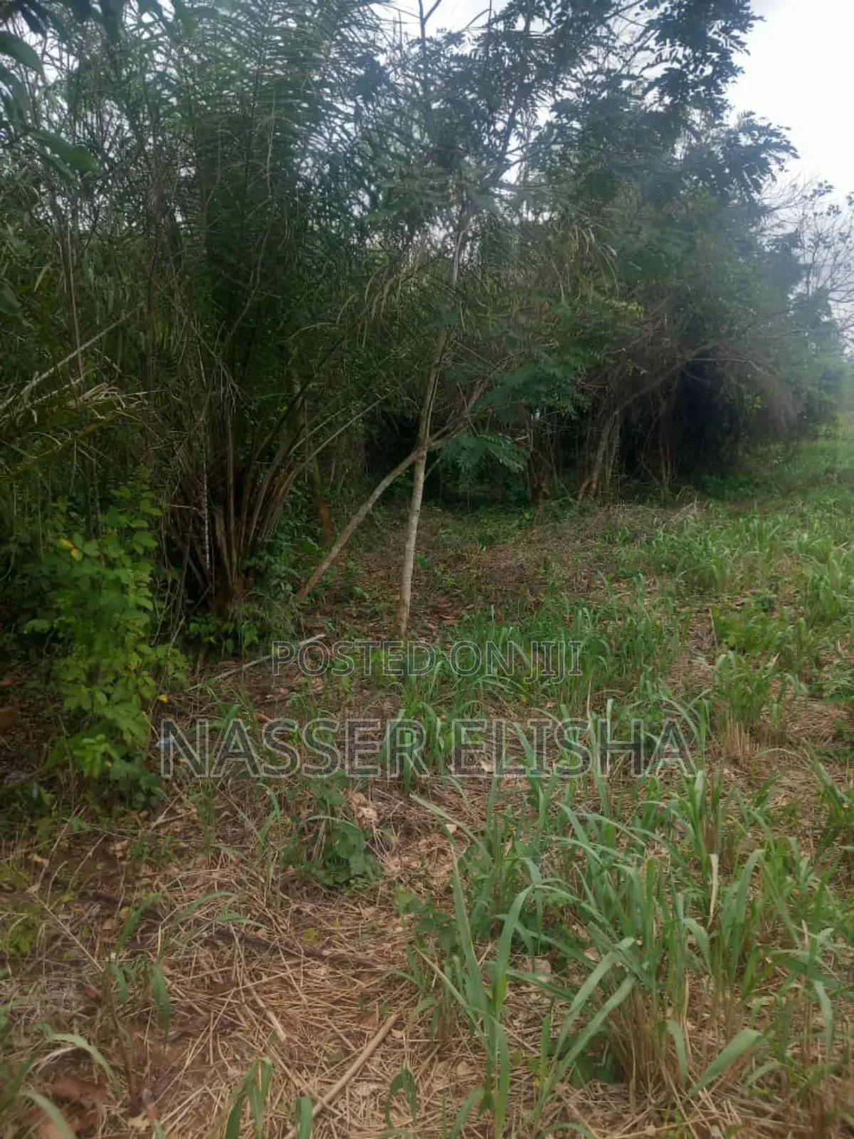 10 Plots for Sale by Mainroad