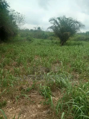 10 Plots for Sale by Mainroad