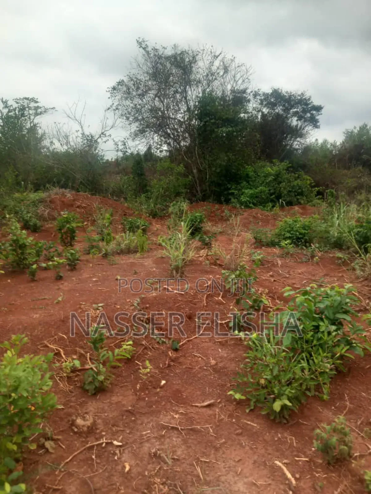 2.5 Acres for Sale by Mainroad