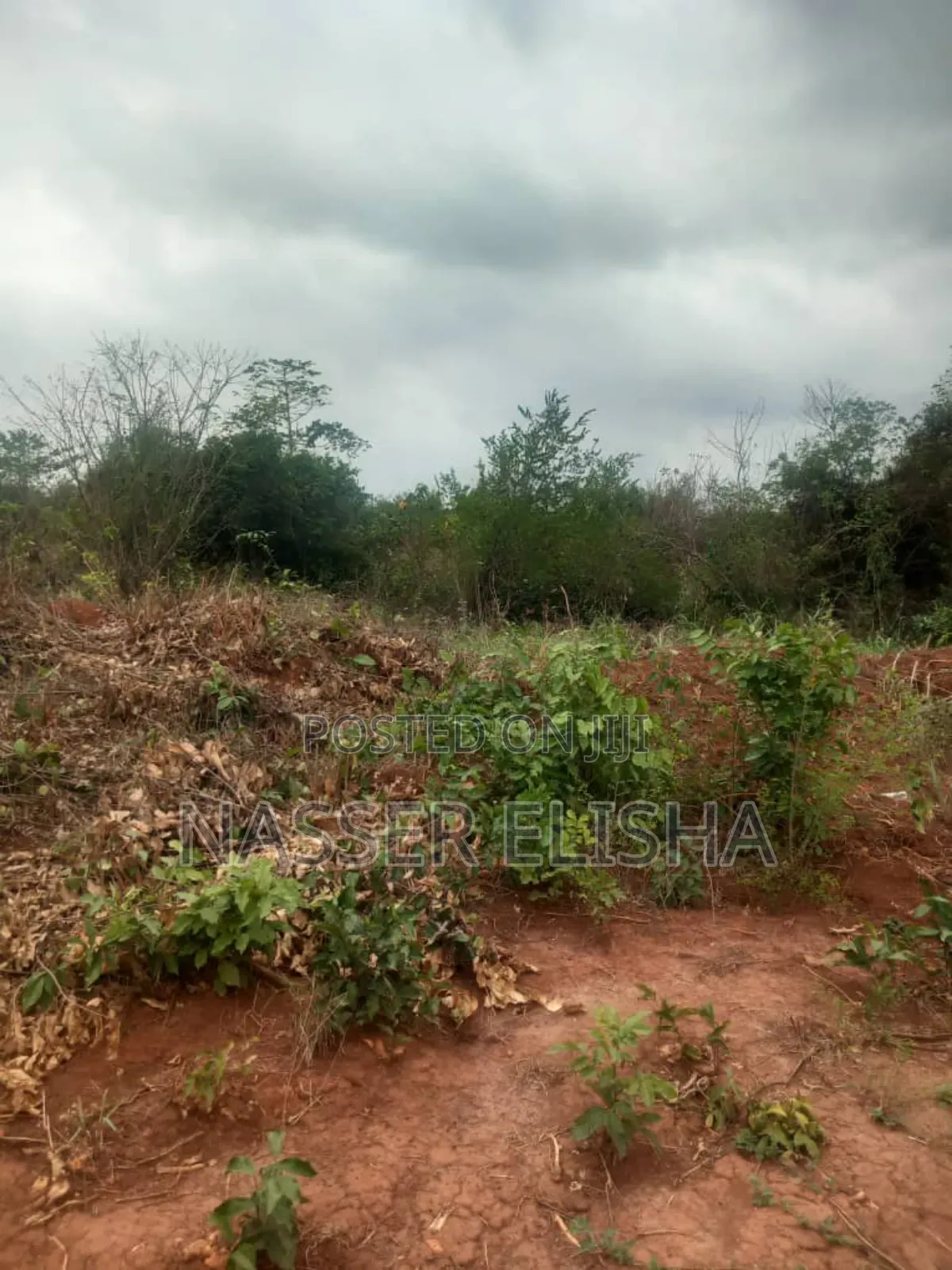 2.5 Acres for Sale by Mainroad