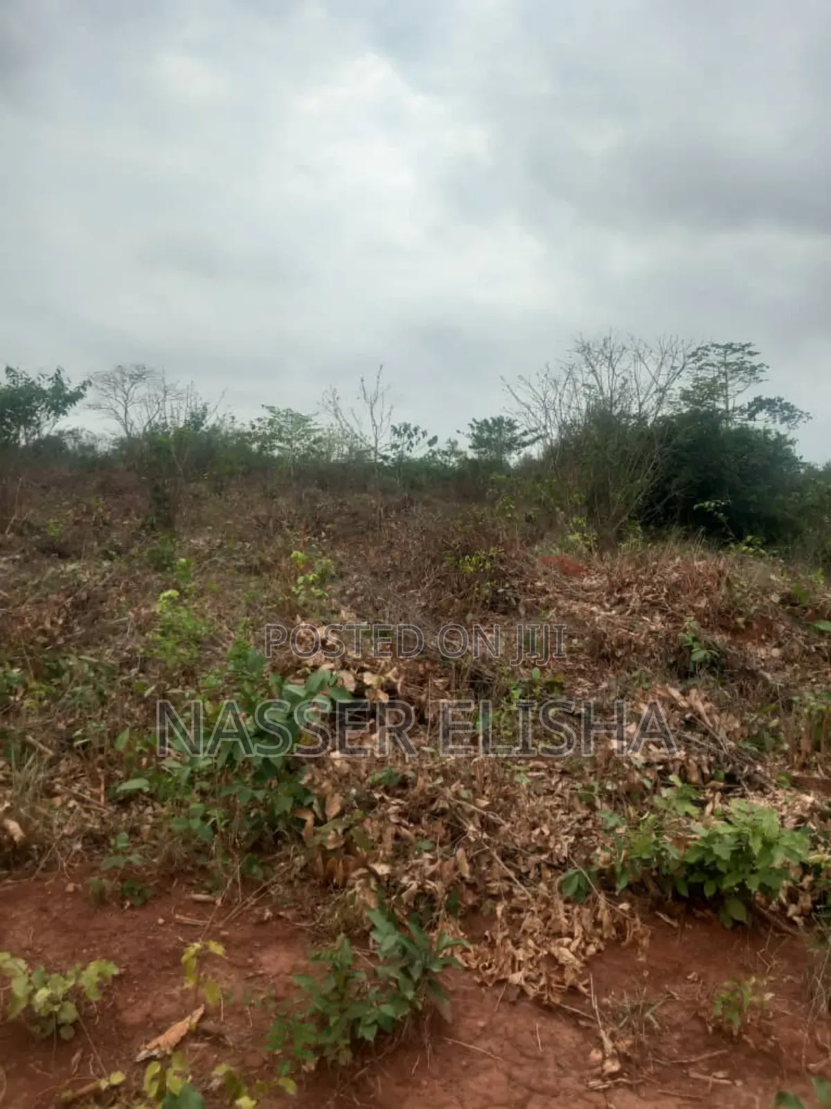 2.5 Acres for Sale by Mainroad