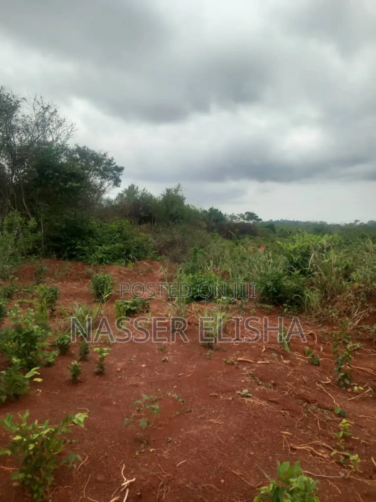 2.5 Acres for Sale by Mainroad