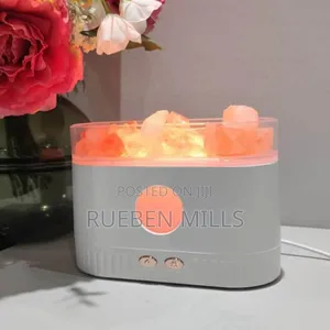Ultra-Quite Salt Lamp Oil Fragrance Diffuser Humidifier