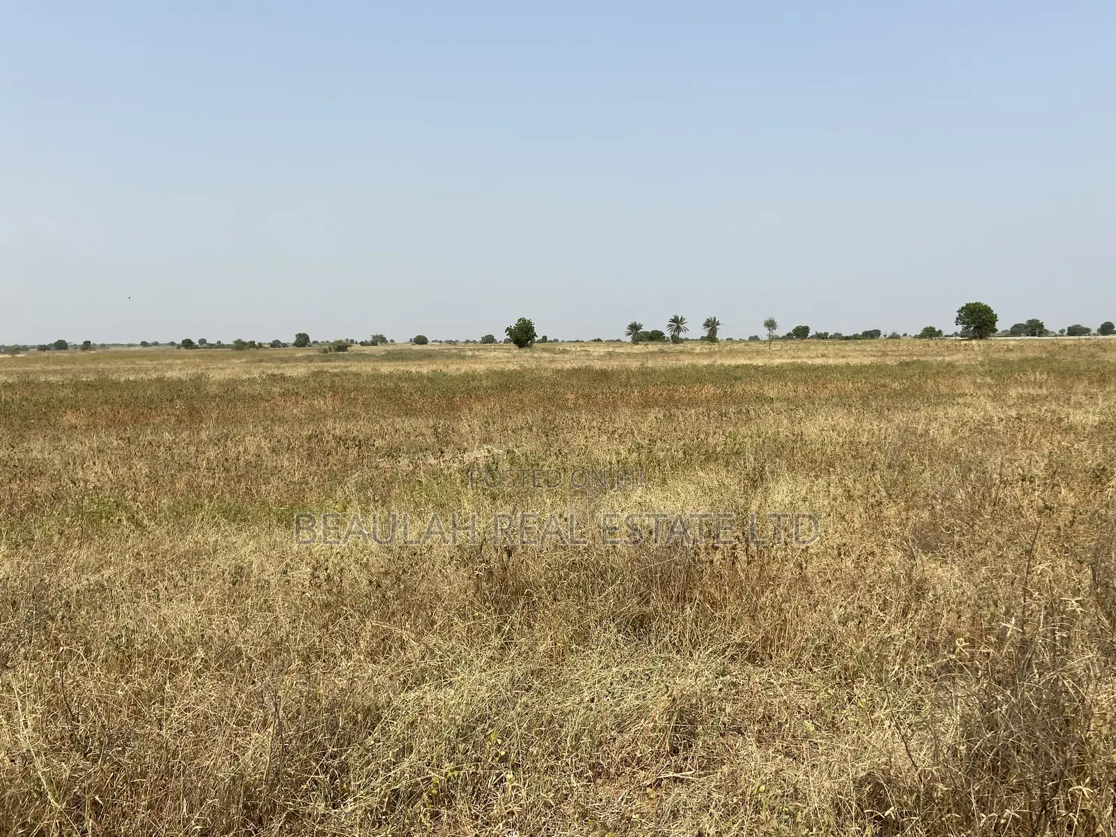 Titled Roadside Land for Sale in Ada Koluedor | Accra–Aflao Highway