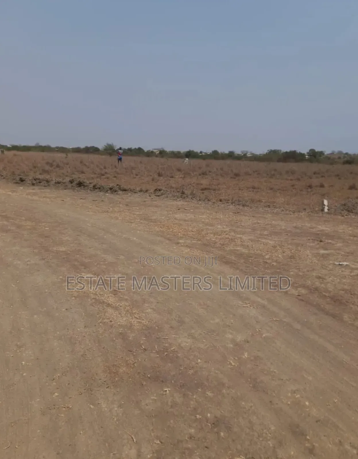 Land Ownership, the Smartest Move for Your Future.