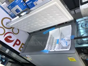 290 Liters Nasco Chest Freezer With White Basket