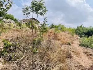 Land for Sale Bortianor (Sea View)