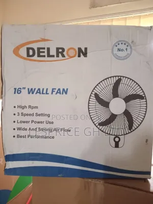 Delron 16" Wall Fan: Great Value!