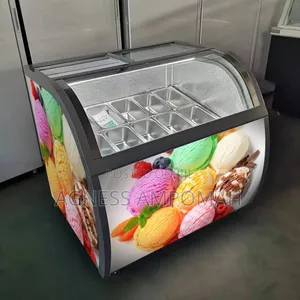 Ice Cream Display Fridge