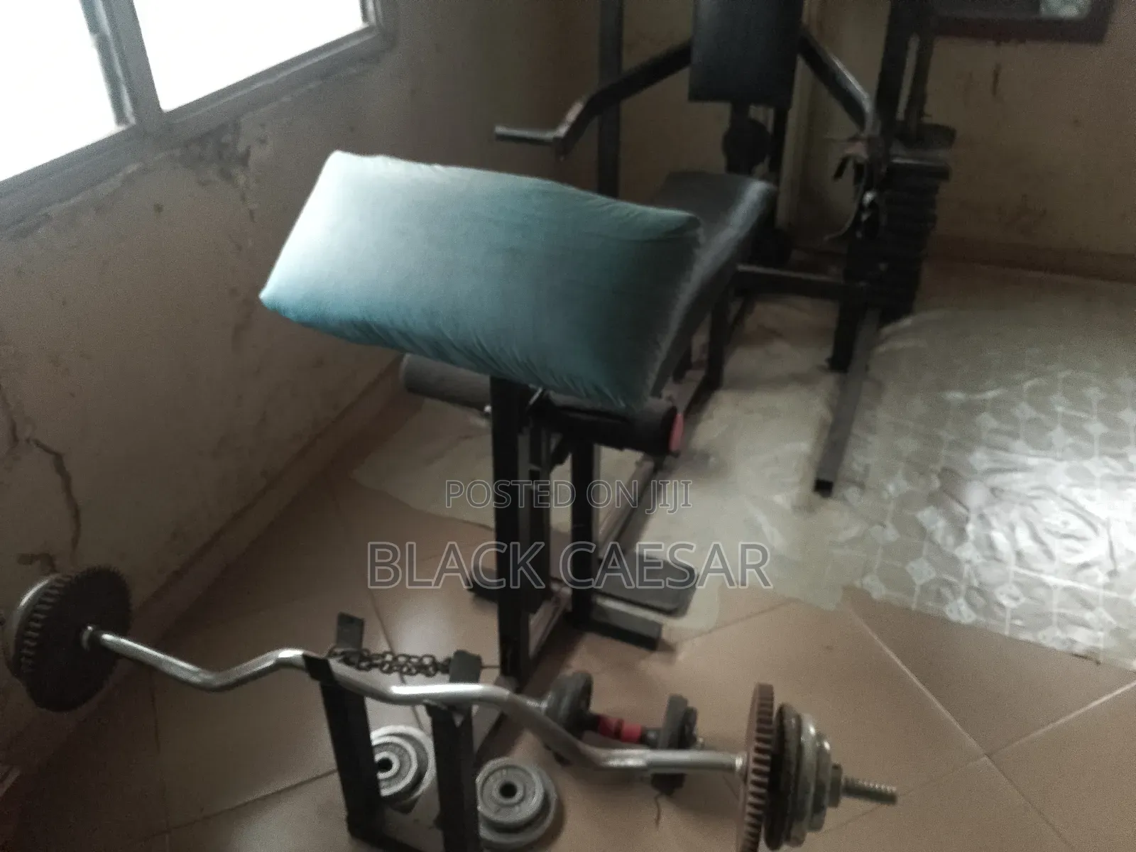 12 in One Gym Machine