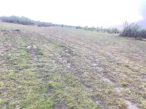 30 Acres of Land for Sale Located at the Dowdowa Road Bawal
