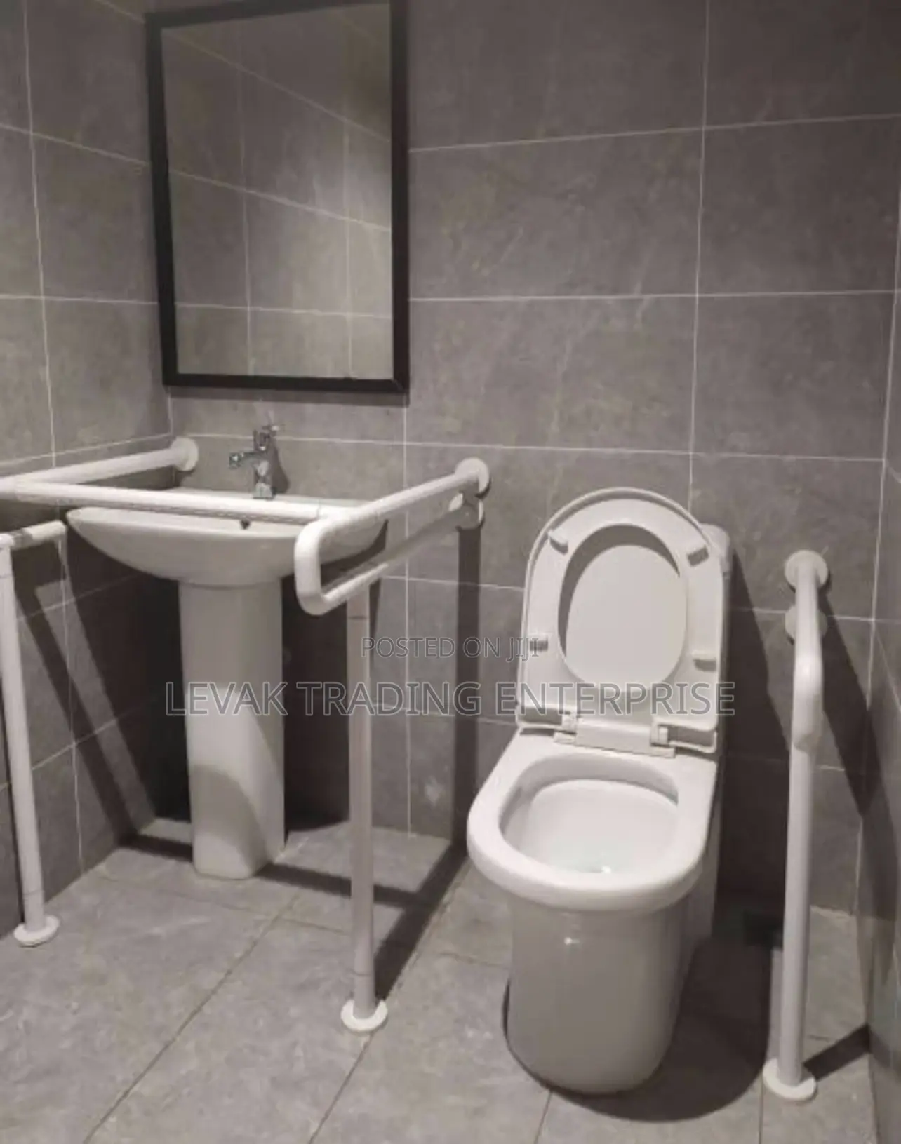 Disabled Watercloset Physical Disabilities Watercloset