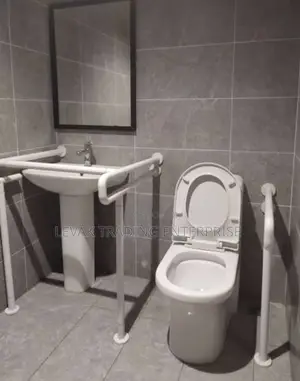 Disabled Watercloset Physical Disabilities Watercloset